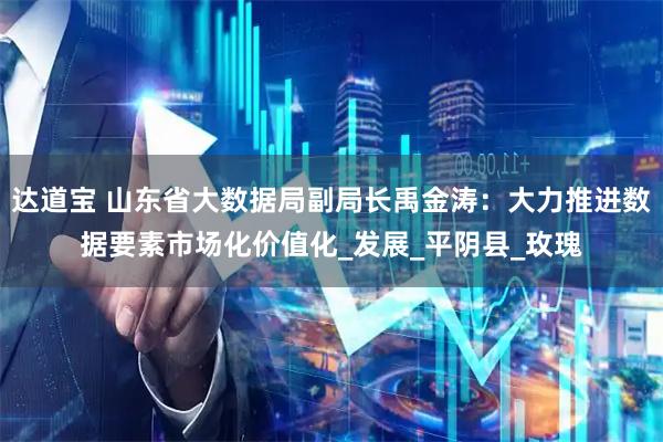 达道宝 山东省大数据局副局长禹金涛：大力推进数据要素市场化价值化_发展_平阴县_玫瑰